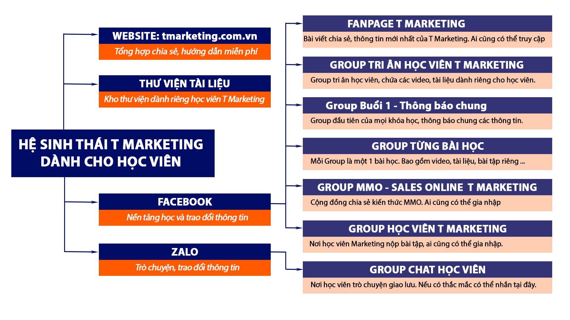 hệ sinh thái T Marketing mô hình 6V